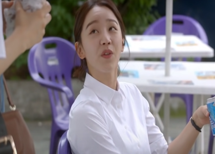 무료티비