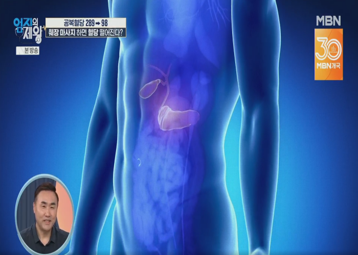 무료티비