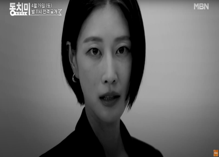 무료티비
