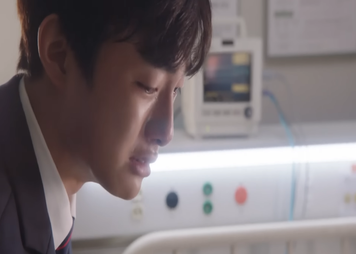 무료티비