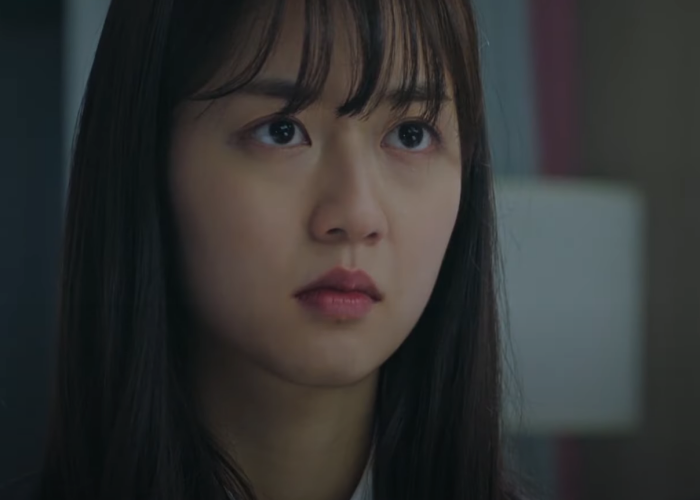 무료티비